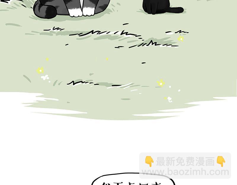 🍘吾皇巴扎黑 第346话 温柔都给你 第23页