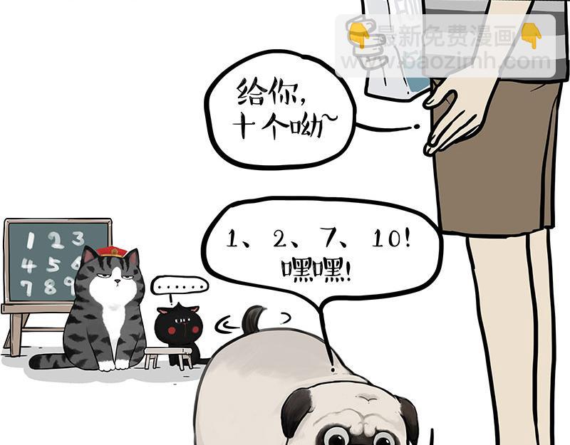 🍘吾皇巴扎黑 第346话 温柔都给你 第45页