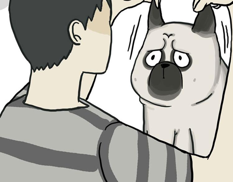 🍘吾皇巴扎黑 第36话 猫奴为什么没有尊严 第11页