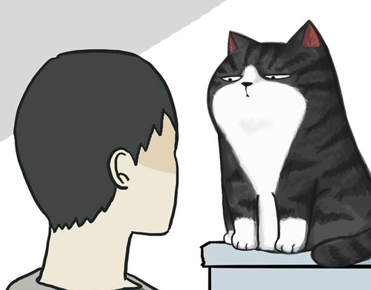 🍘吾皇巴扎黑 第36话 猫奴为什么没有尊严 第16页