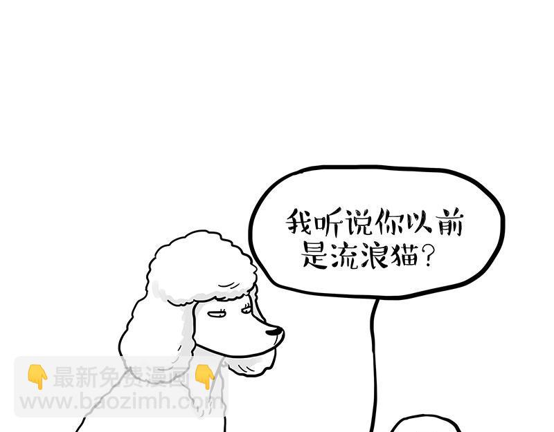 🍘吾皇巴扎黑 第352话 发点糖！ 第16页