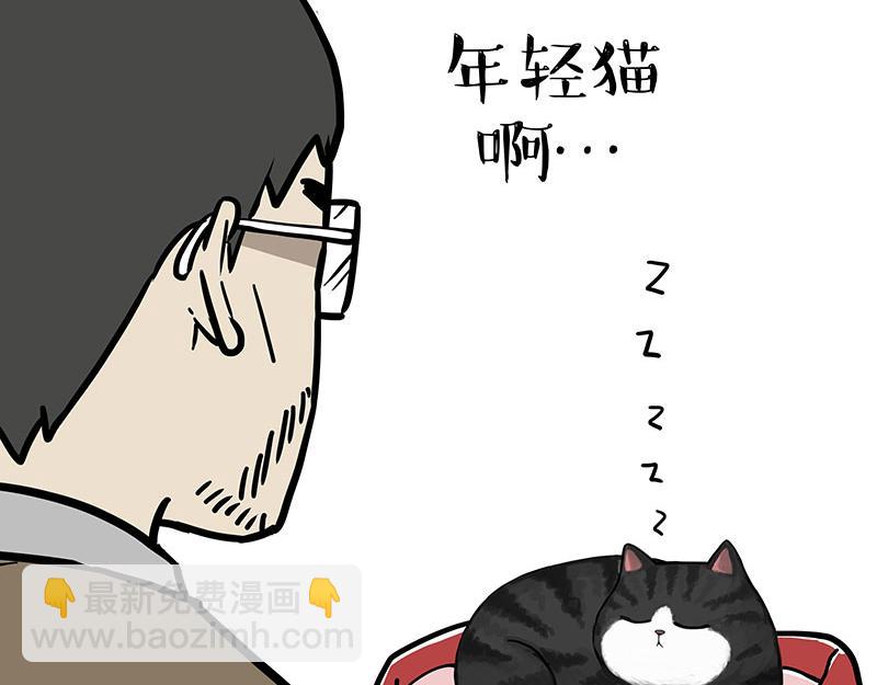 🍘吾皇巴扎黑 第354话 不做人了 第17页