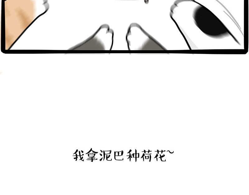 🍘吾皇巴扎黑 第354话 不做人了 第28页