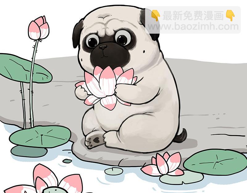 🍘吾皇巴扎黑 第354话 不做人了 第29页