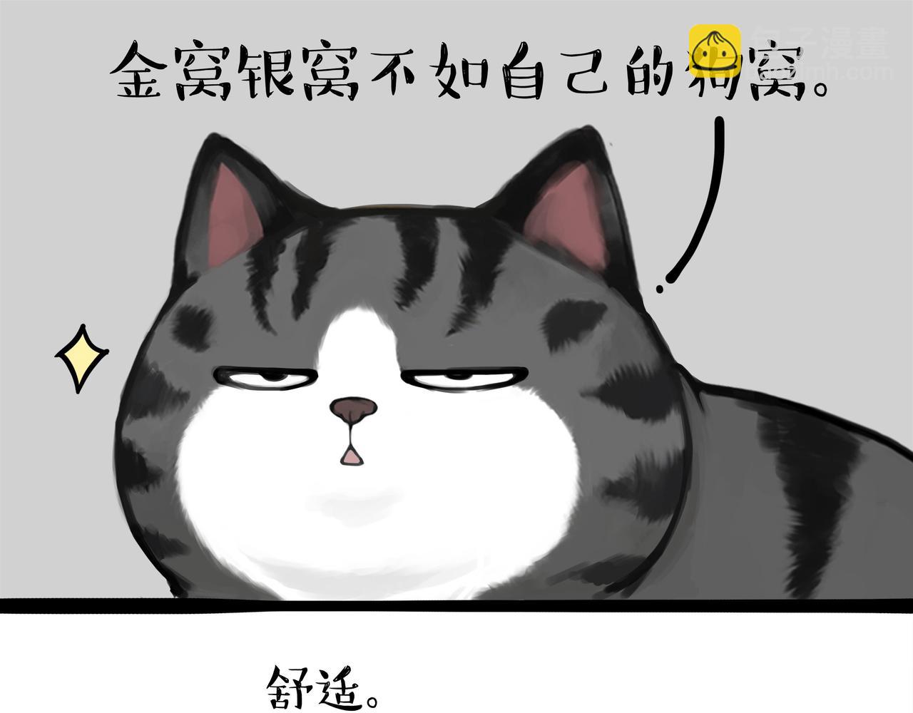 🍘吾皇巴扎黑 第354话 不做人了 第3页