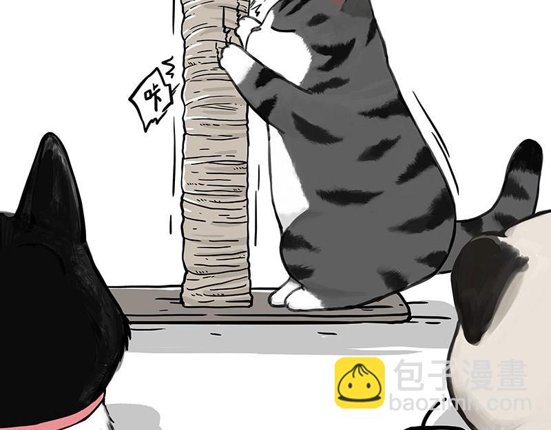 🍘吾皇巴扎黑 第356话 “吾没有错” 第12页