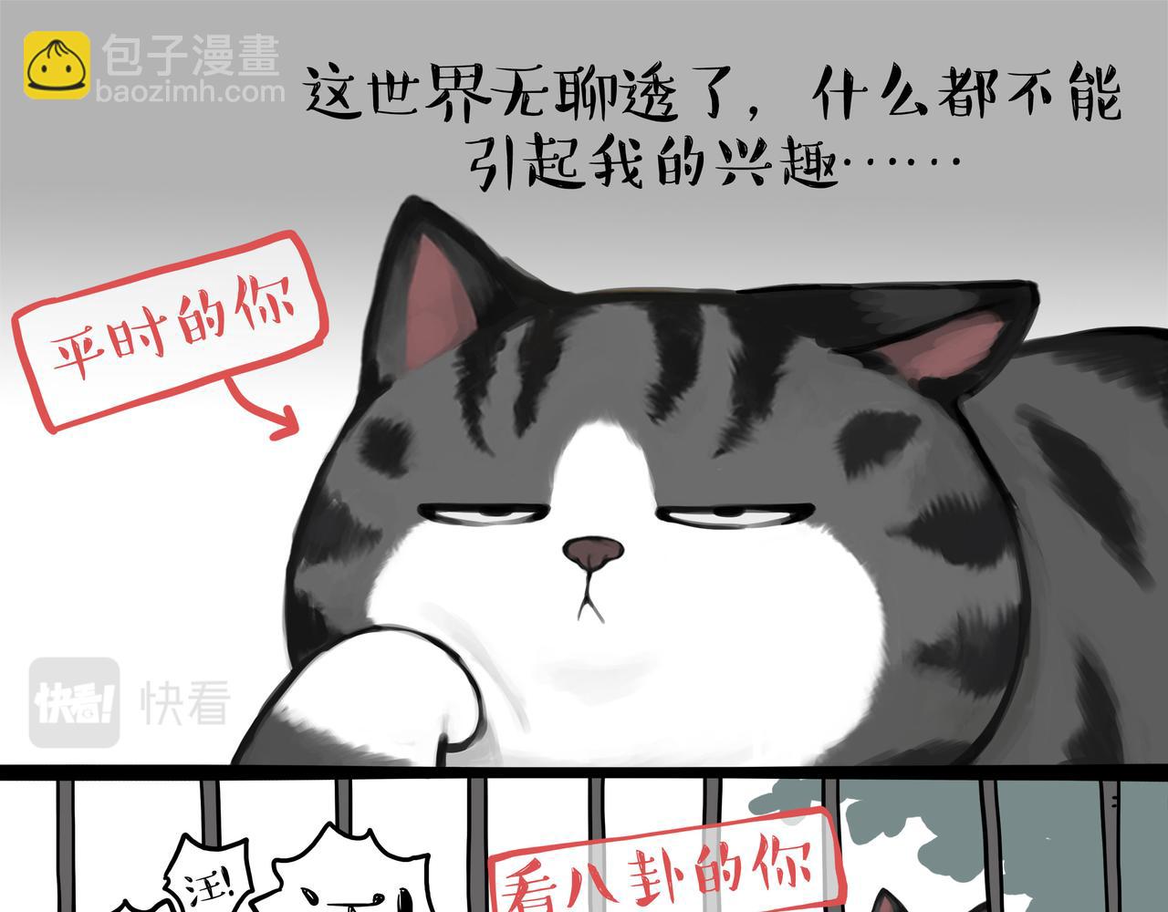 🍘吾皇巴扎黑 第356话 “吾没有错” 第14页