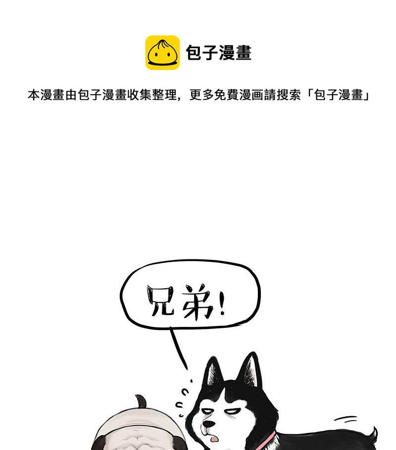 🍘吾皇巴扎黑 第358话 都是错觉 第1页