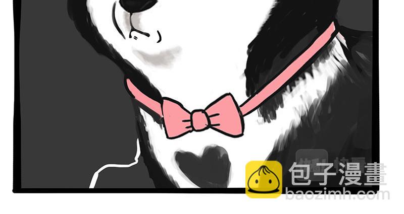 🍘吾皇巴扎黑 第358话 都是错觉 第15页