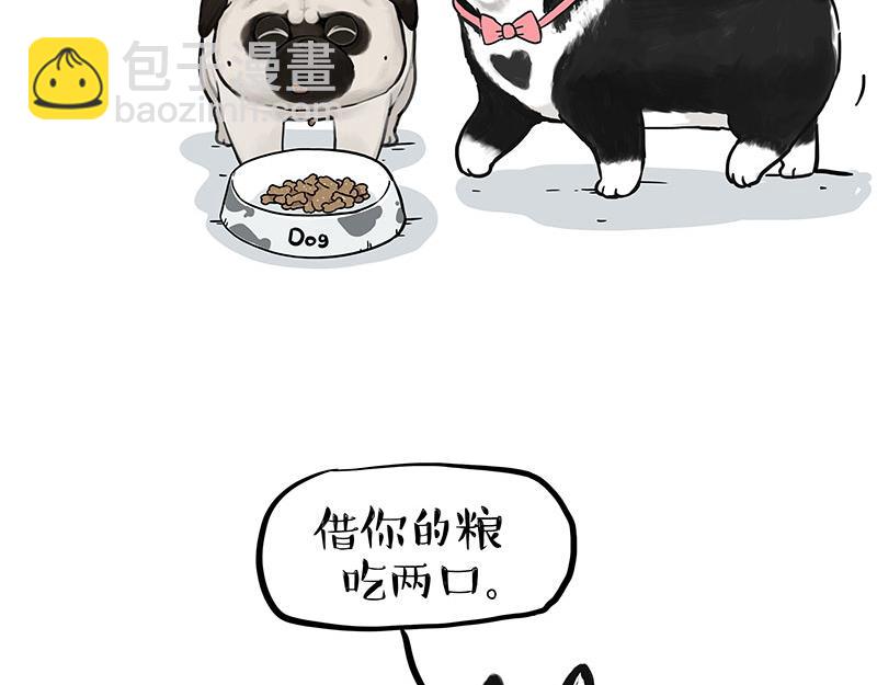 🍘吾皇巴扎黑 第358话 都是错觉 第2页