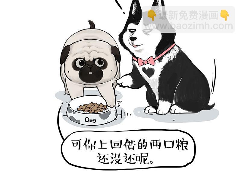 🍘吾皇巴扎黑 第358话 都是错觉 第3页