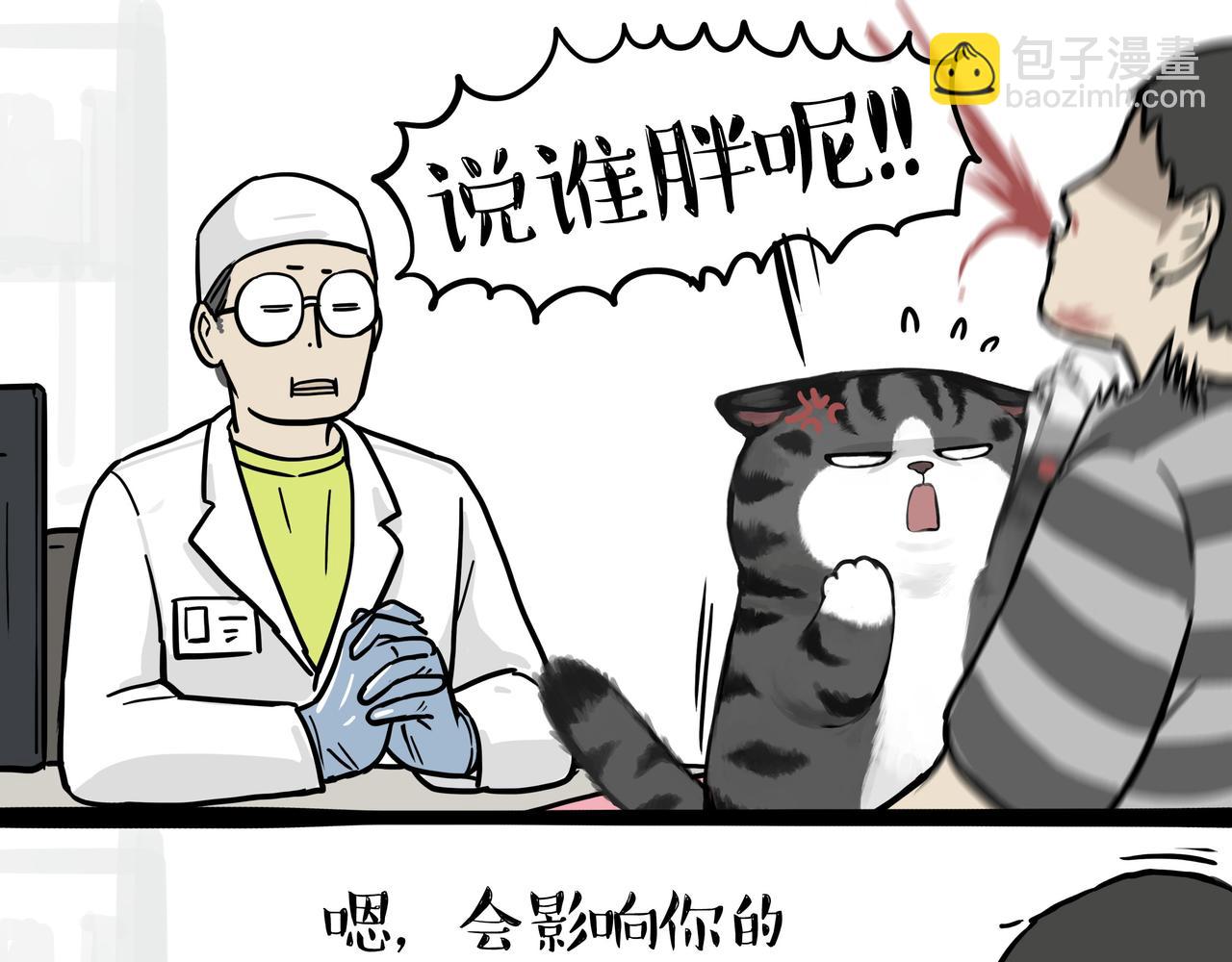 🍘吾皇巴扎黑 第358话 都是错觉 第31页