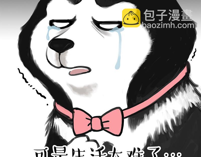 🍘吾皇巴扎黑 第358话 都是错觉 第5页