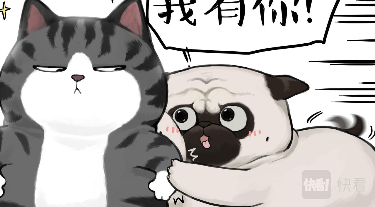 🍘吾皇巴扎黑 第362话 去找狗！ 第14页