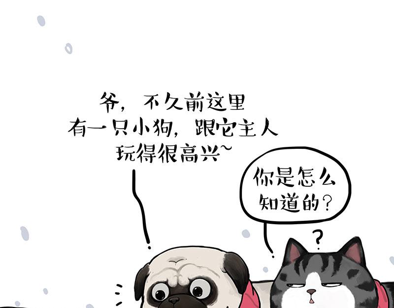 🍘吾皇巴扎黑 第362话 去找狗！ 第19页