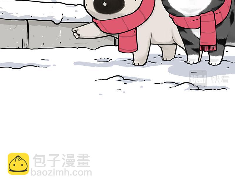 🍘吾皇巴扎黑 第362话 去找狗！ 第20页