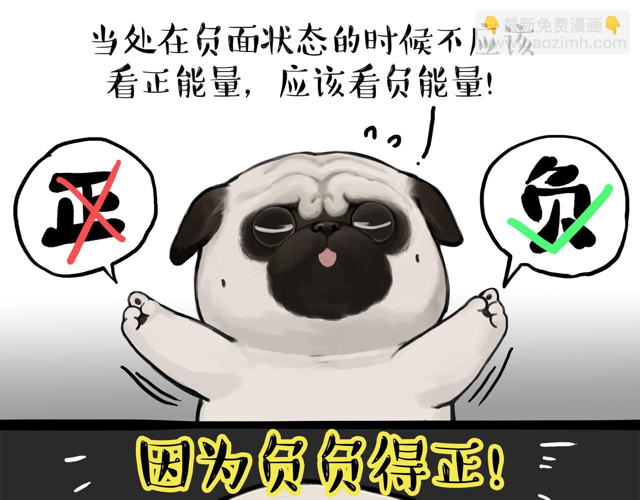 🍘吾皇巴扎黑 第362话 去找狗！ 第5页