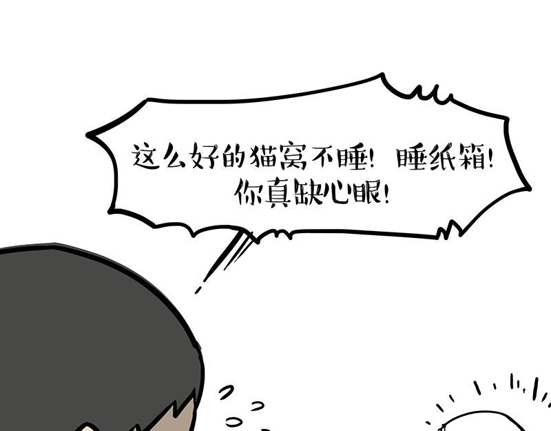 🍘吾皇巴扎黑 第364话 万一呢？ 第22页