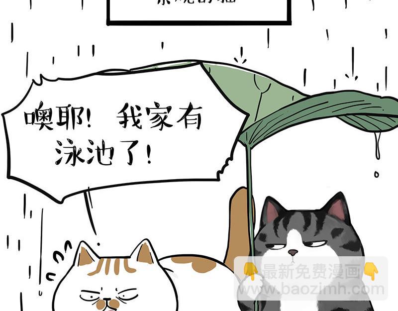 🍘吾皇巴扎黑 第364话 万一呢？ 第40页