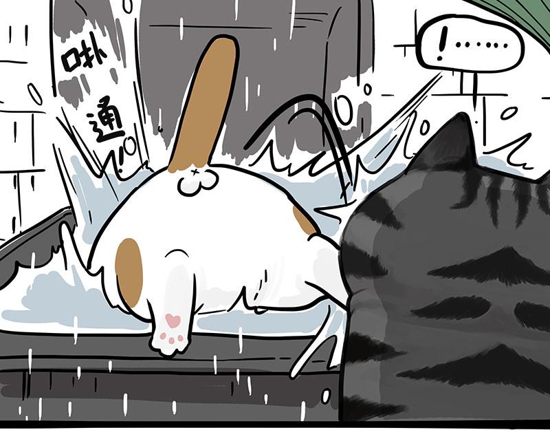 🍘吾皇巴扎黑 第364话 万一呢？ 第42页