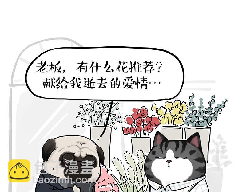 🍘吾皇巴扎黑 第366话 情人节，略过 第13页