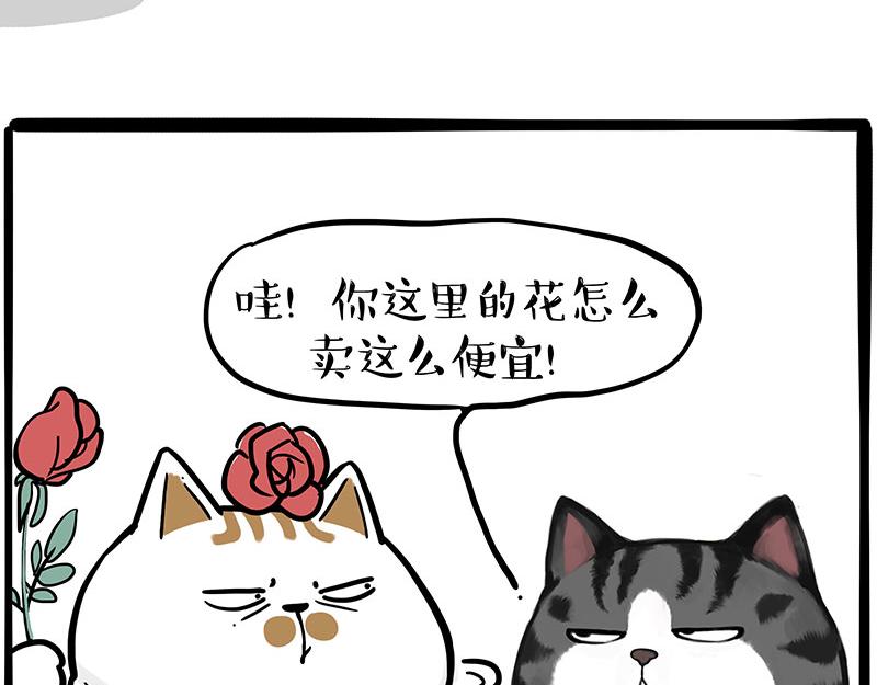 🍘吾皇巴扎黑 第366话 情人节，略过 第19页