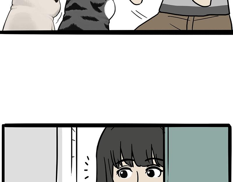 🍘吾皇巴扎黑 第366话 情人节，略过 第3页