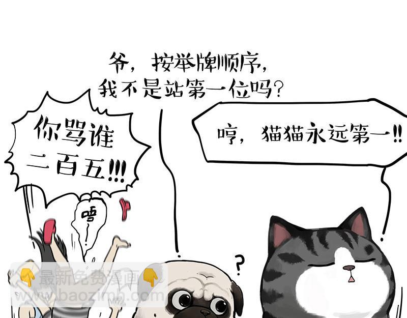 🍘吾皇巴扎黑 第366话 情人节，略过 第7页