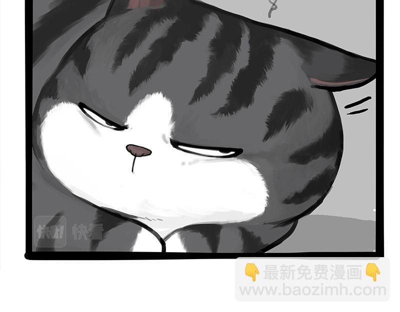 🍘吾皇巴扎黑 第368话 睁一只眼闭一只眼 第8页
