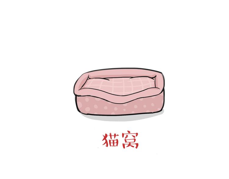 🍘吾皇巴扎黑 第38话 猫星人的三宫六院 第12页