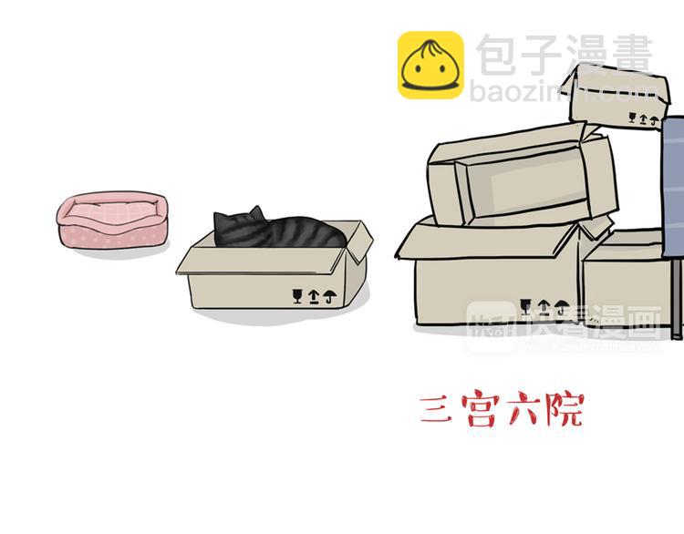 🍘吾皇巴扎黑 第38话 猫星人的三宫六院 第14页