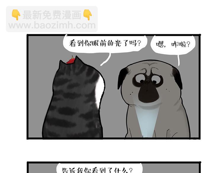 🍘吾皇巴扎黑 第38话 猫星人的三宫六院 第17页