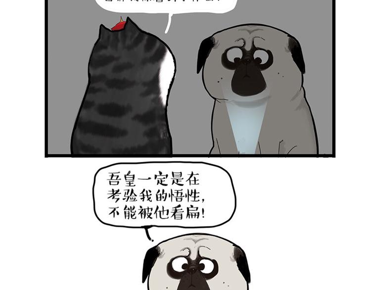 🍘吾皇巴扎黑 第38话 猫星人的三宫六院 第18页