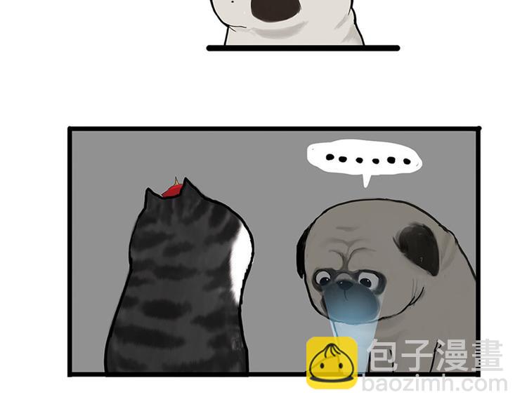 🍘吾皇巴扎黑 第38话 猫星人的三宫六院 第19页