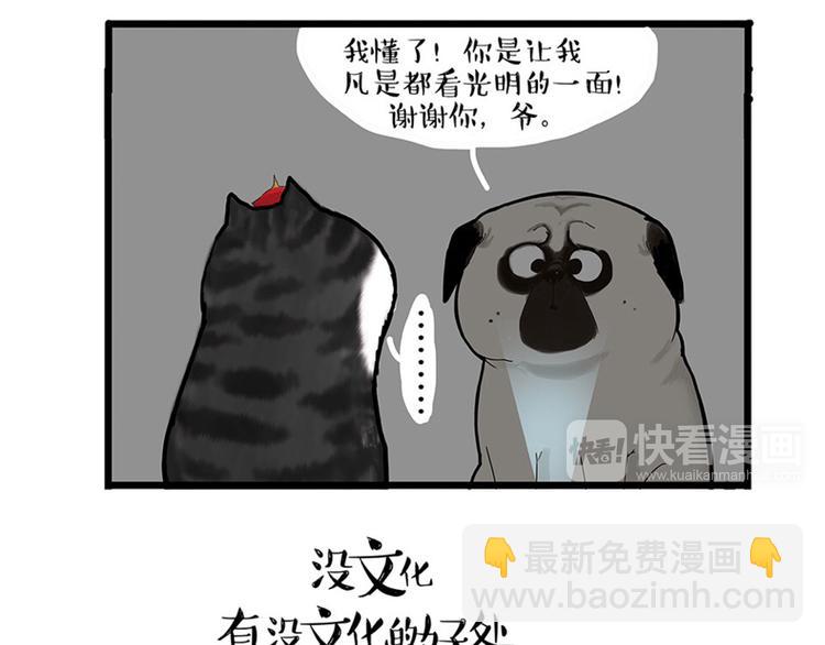 🍘吾皇巴扎黑 第38话 猫星人的三宫六院 第20页