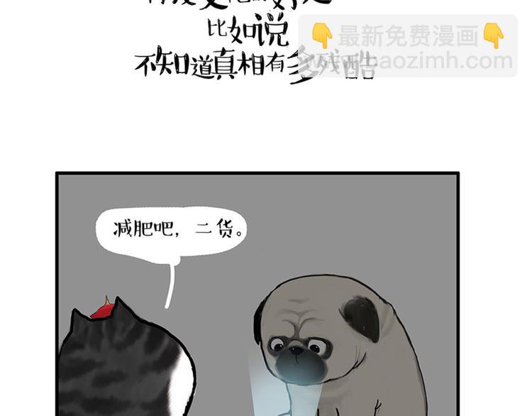 🍘吾皇巴扎黑 第38话 猫星人的三宫六院 第21页