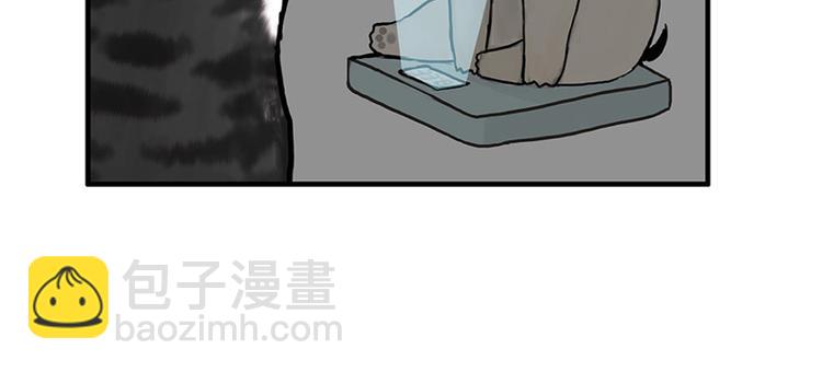 🍘吾皇巴扎黑 第38话 猫星人的三宫六院 第22页