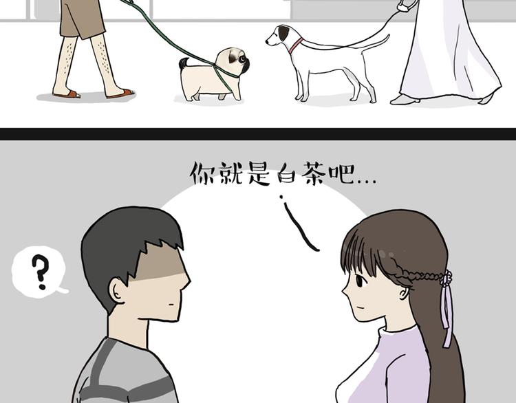 🍘吾皇巴扎黑 第38话 猫星人的三宫六院 第24页