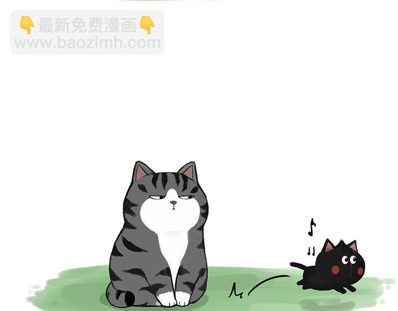 🍘吾皇巴扎黑 第370话 你就宠它吧 第17页