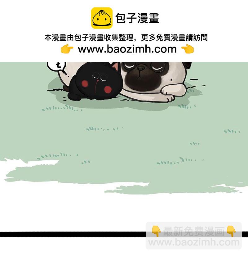 🍘吾皇巴扎黑 第370话 你就宠它吧 第2页