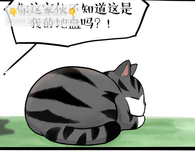 🍘吾皇巴扎黑 第370话 你就宠它吧 第21页