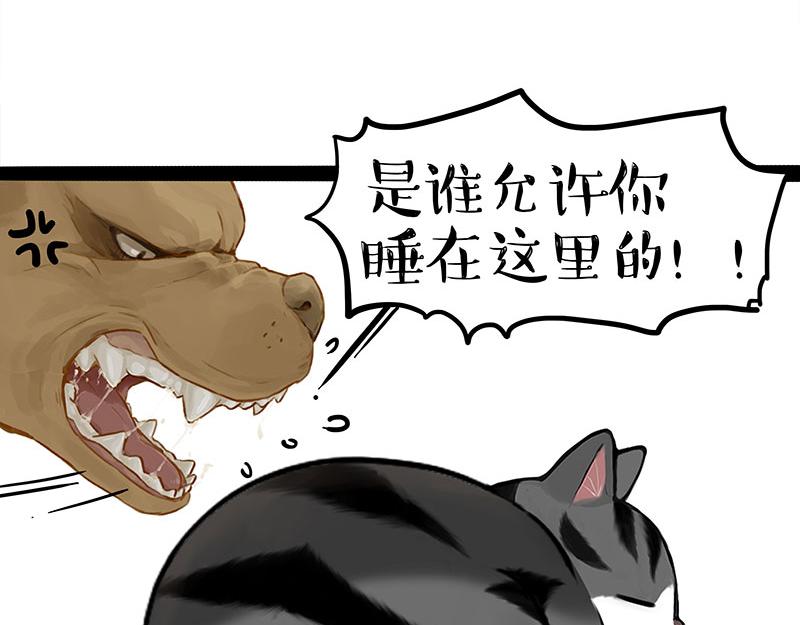 🍘吾皇巴扎黑 第370话 你就宠它吧 第22页