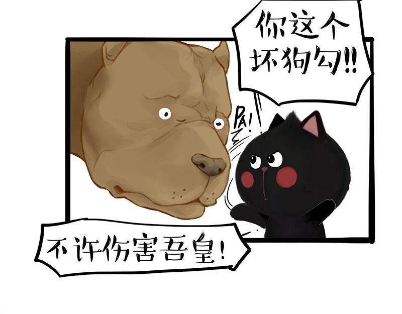 🍘吾皇巴扎黑 第370话 你就宠它吧 第33页