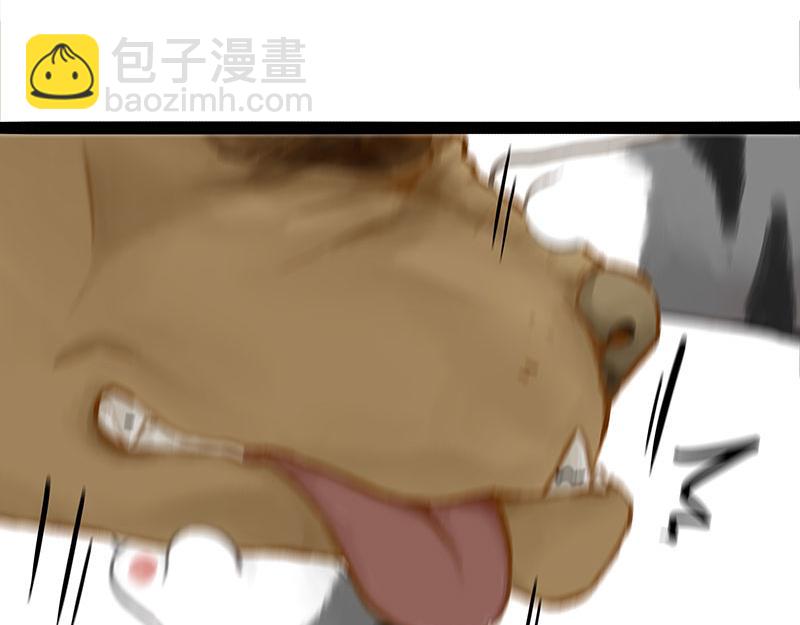🍘吾皇巴扎黑 第370话 你就宠它吧 第36页