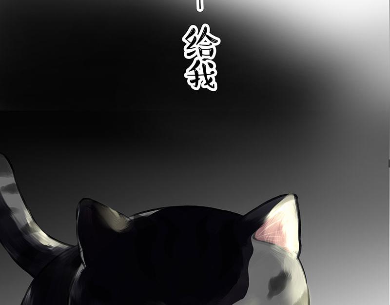 🍘吾皇巴扎黑 第370话 你就宠它吧 第40页