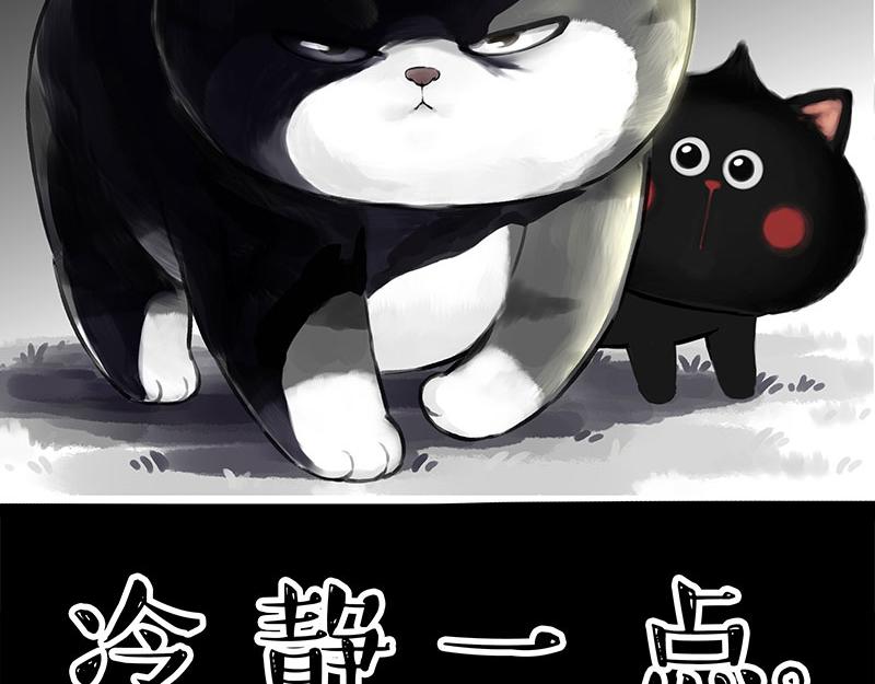 🍘吾皇巴扎黑 第370话 你就宠它吧 第41页