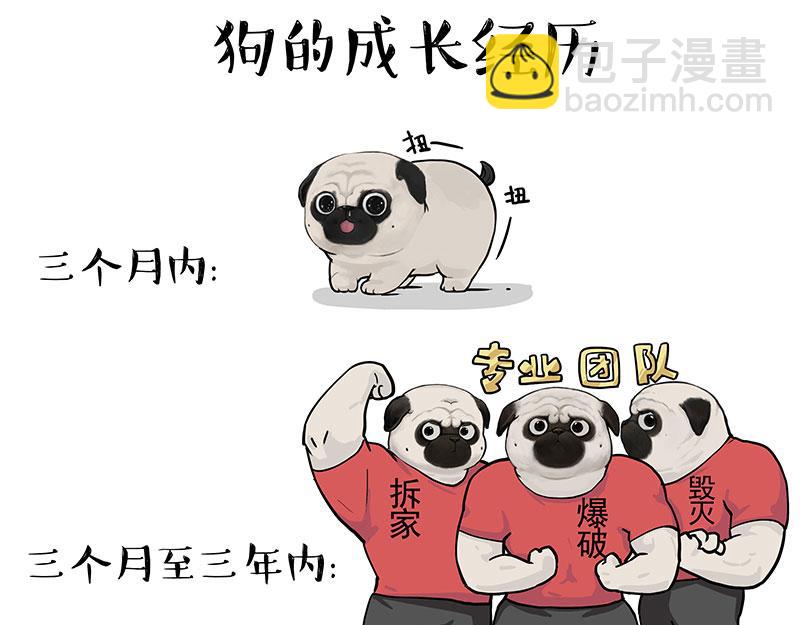 🍘吾皇巴扎黑 第376话 第一次做人 第9页
