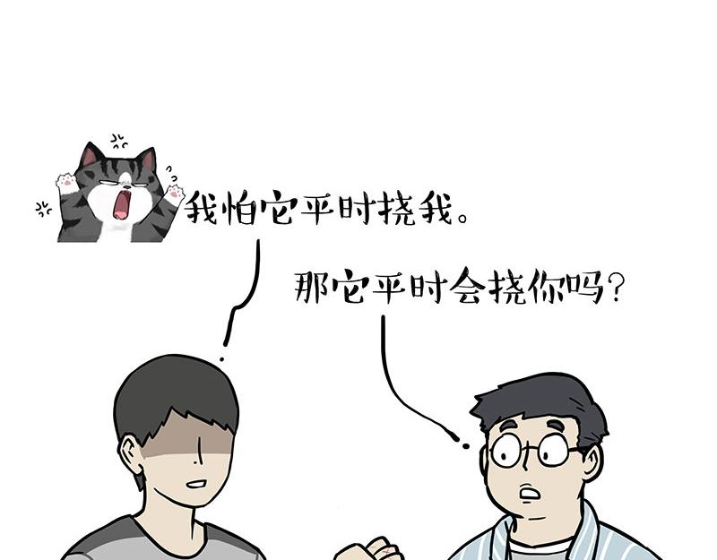 🍘吾皇巴扎黑 第378话 给你满天星星 第21页
