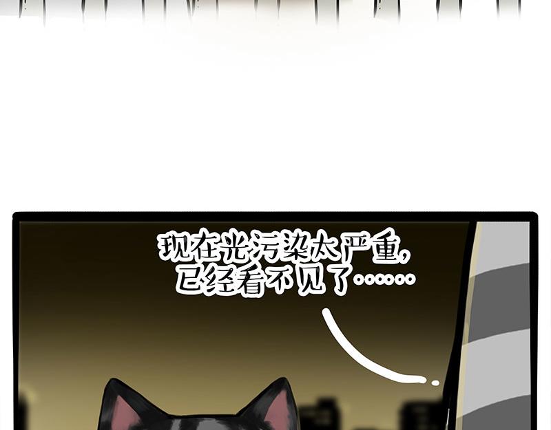 🍘吾皇巴扎黑 第378话 给你满天星星 第29页