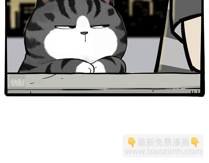🍘吾皇巴扎黑 第378话 给你满天星星 第30页
